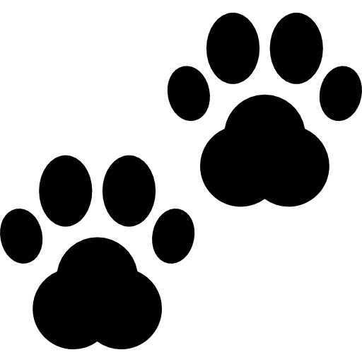 الحيوان الضال الذي وجدته
